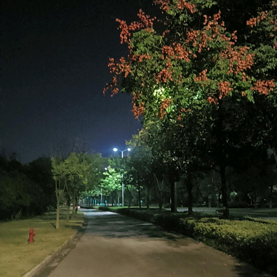 无人问津