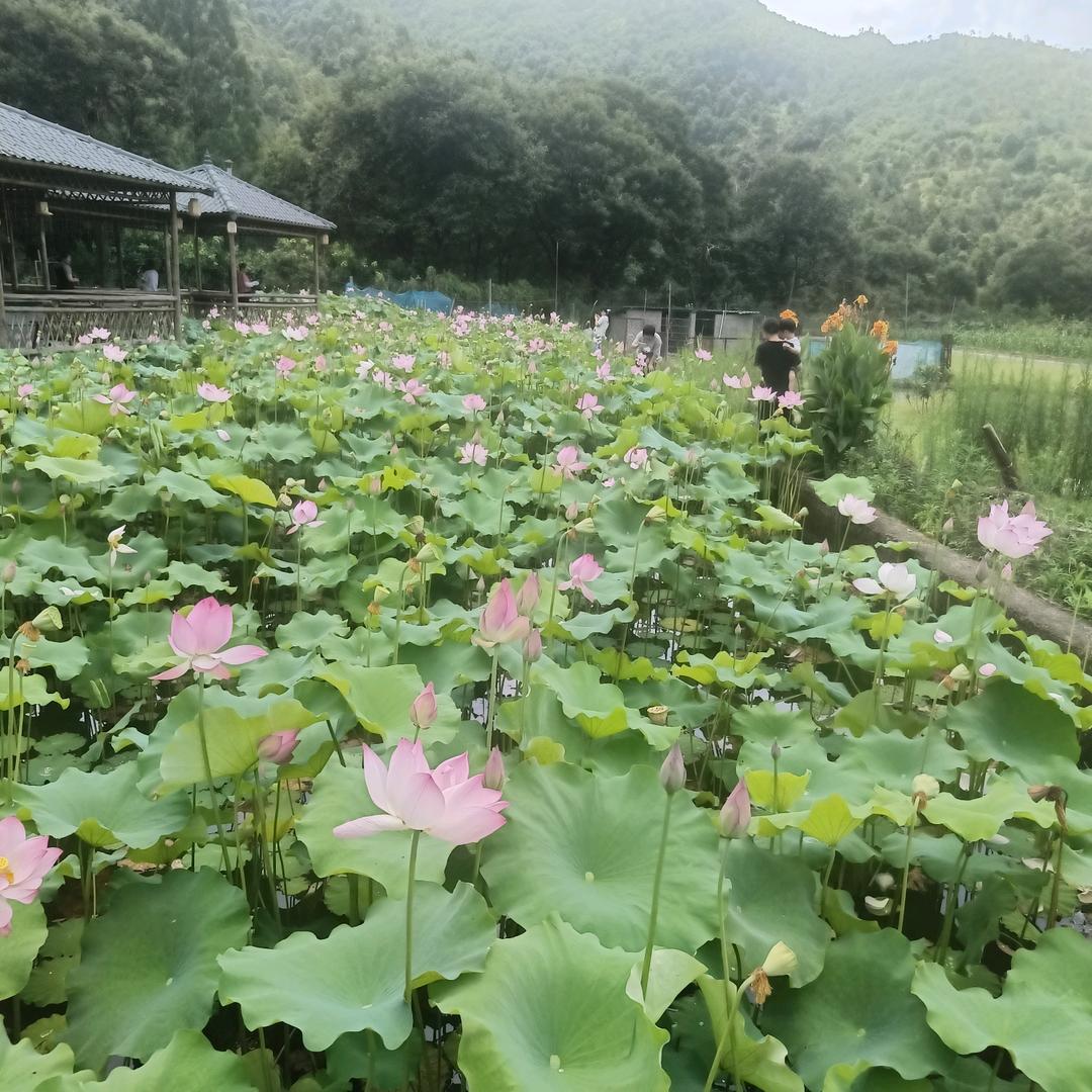 快乐柒零后