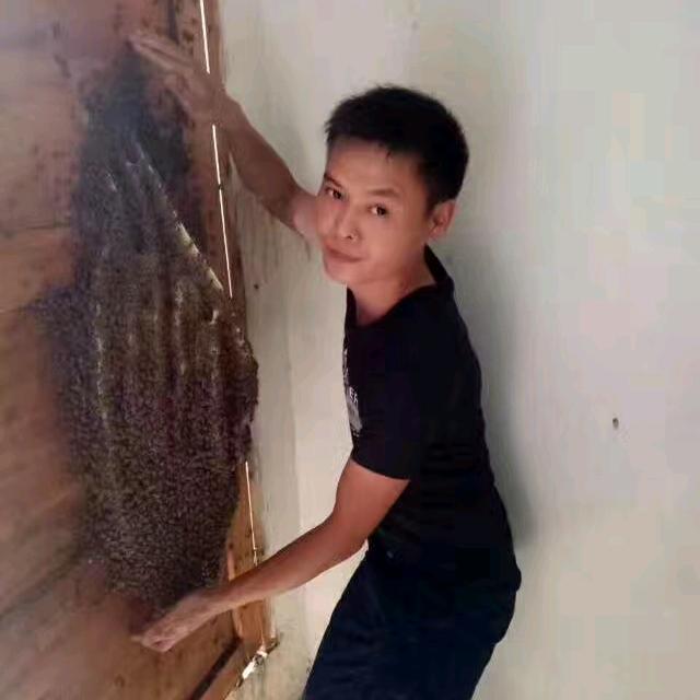 牧蜂的小飞哥