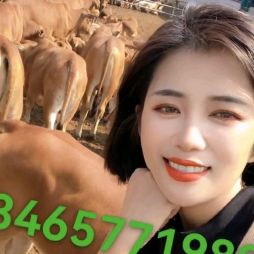 肉牛包成活7644