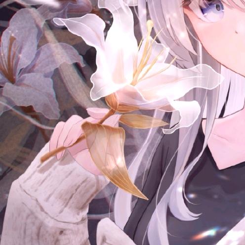 梨蒴珠