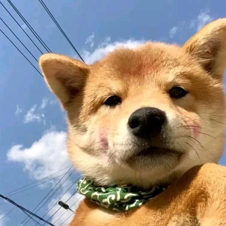 粤J地区一颗小尘埃🤔