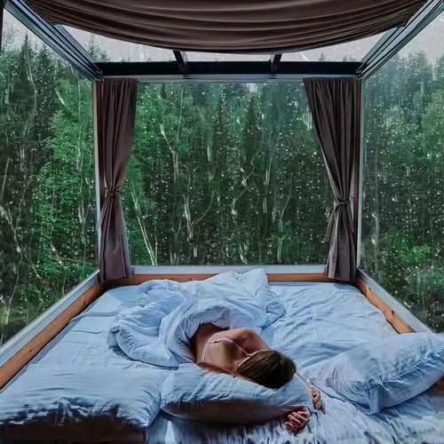 甜梦守护者(抱走盆发小)