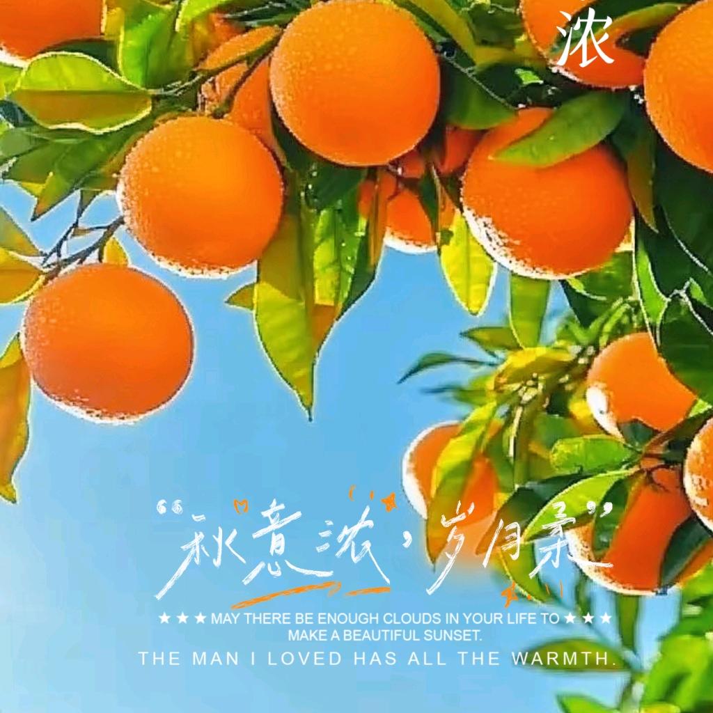 isn.多彩