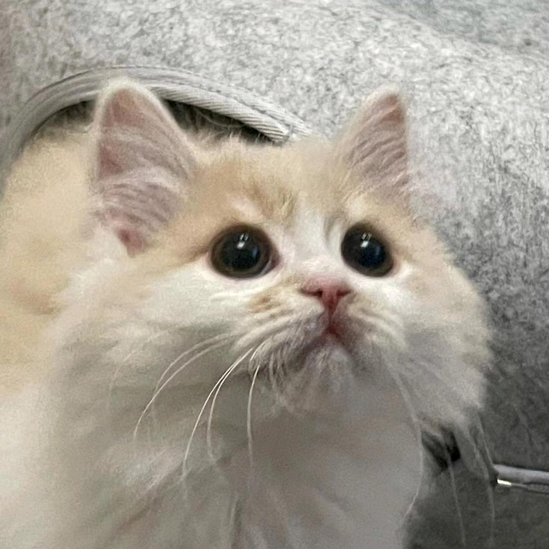 开心每一天7441418827509