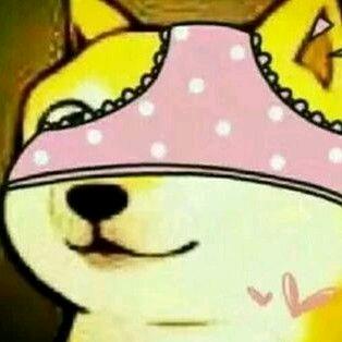 。。。。。。。。。。。。。。。。。。。。