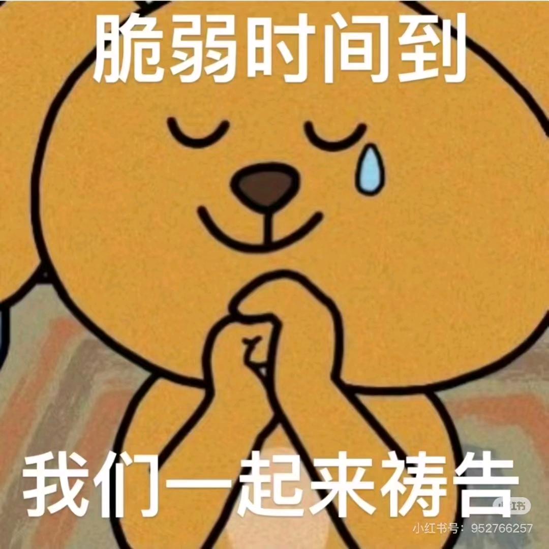 最优解