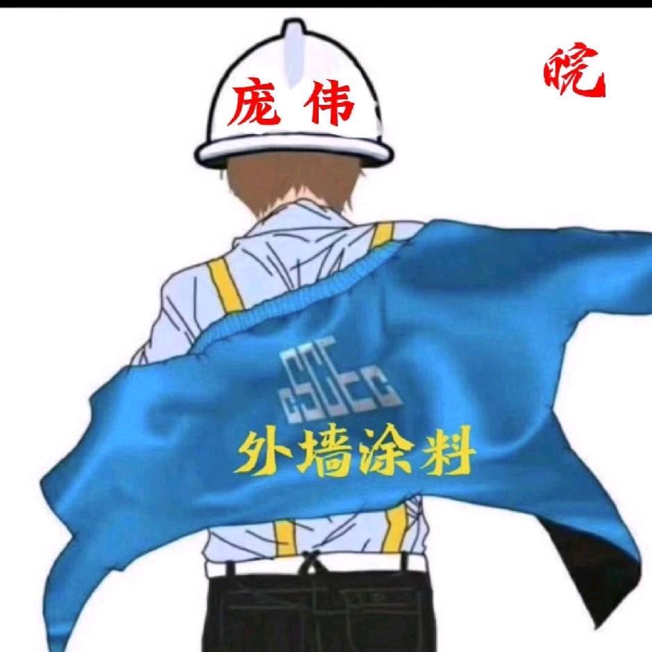 外墙涂料  庞伟