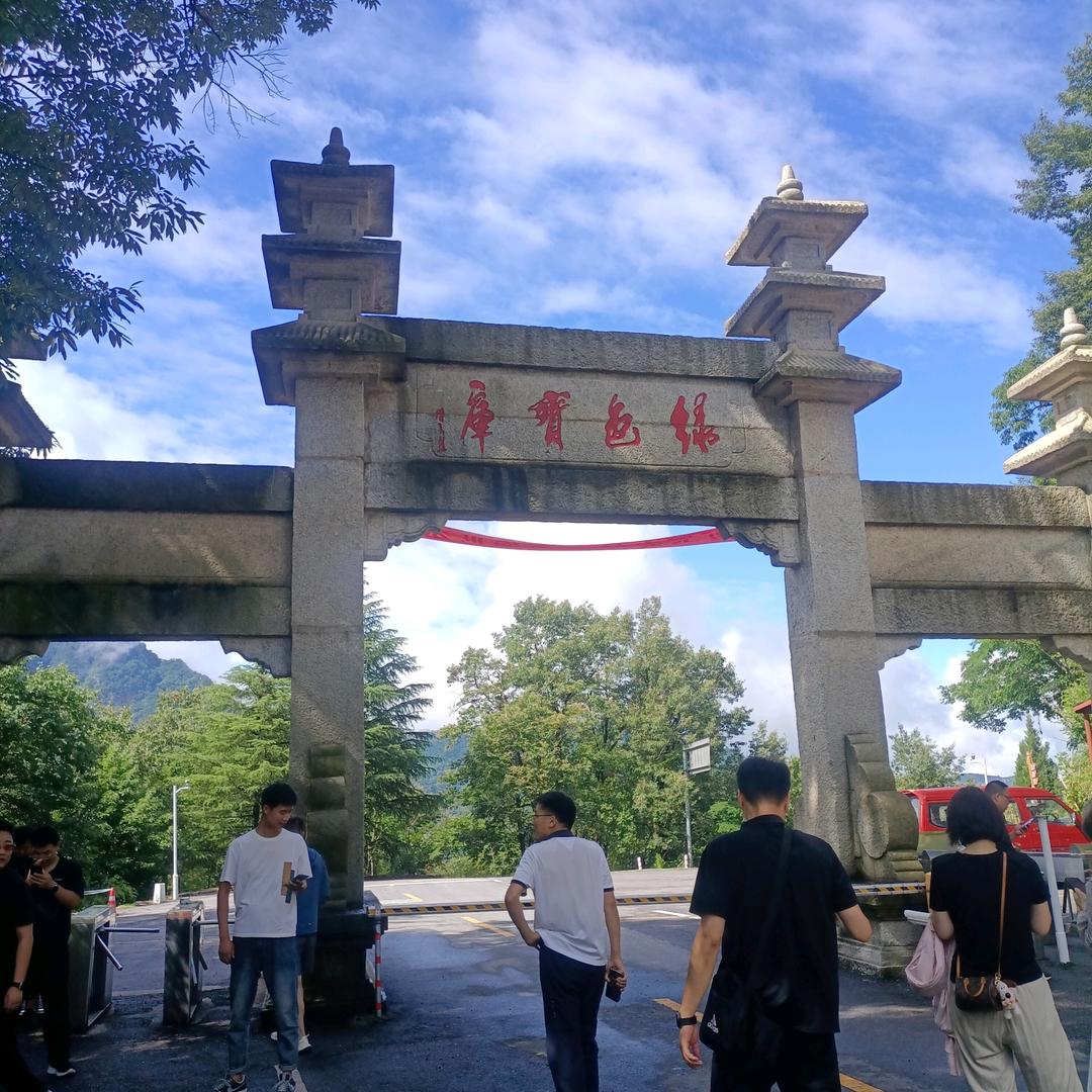 金雪华
