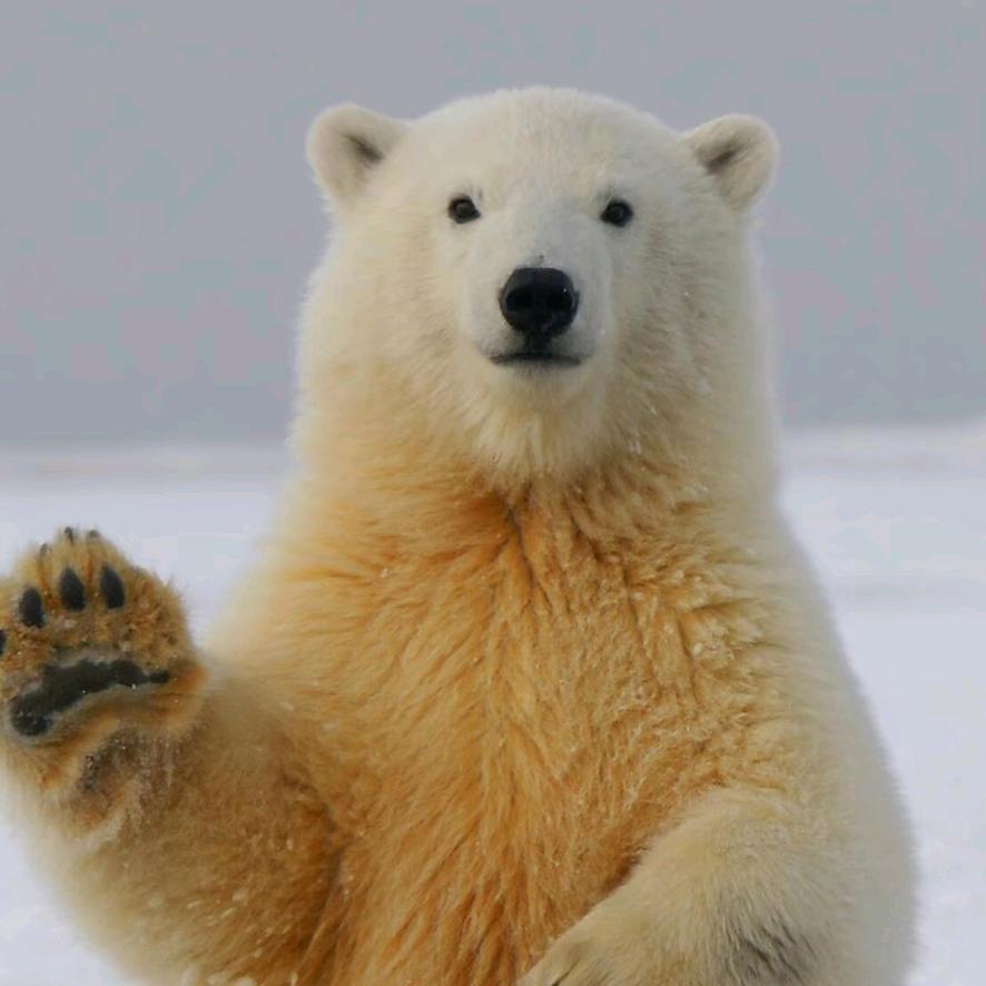 家和万事兴_218547841