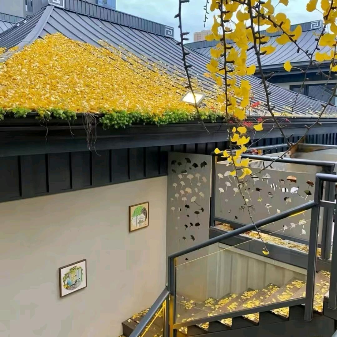 苹果香