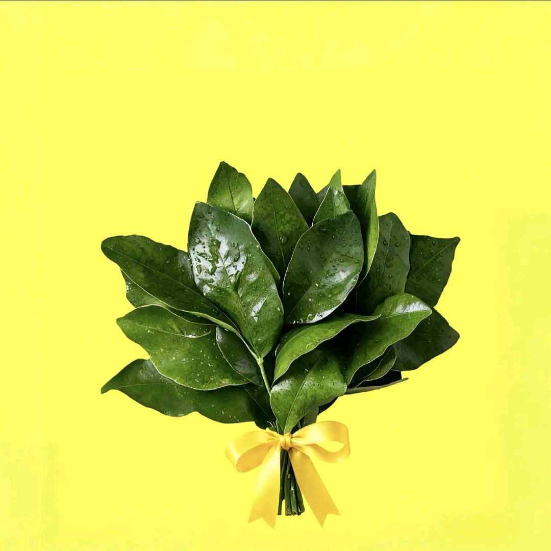岁月静好🌻