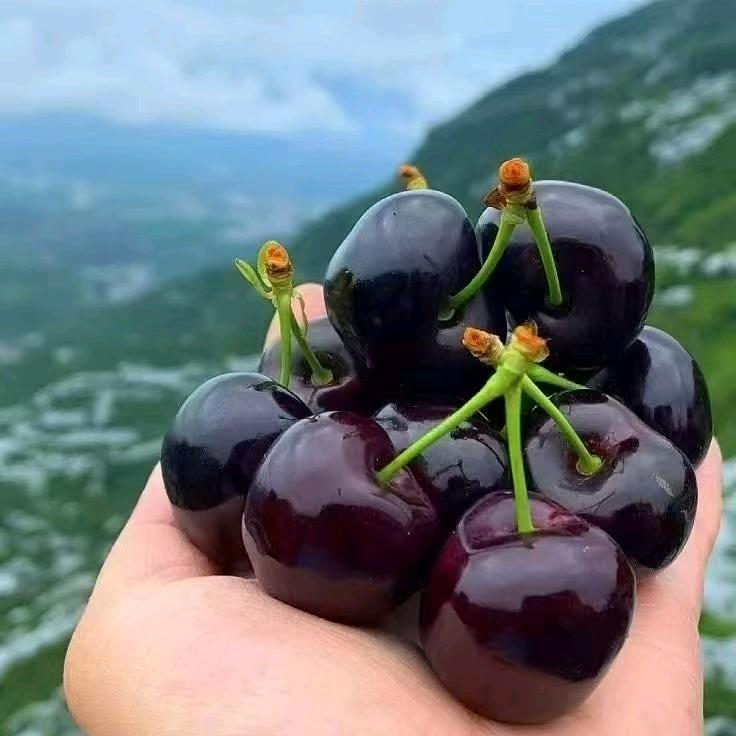 宁静致远（汉庭广元万达广场店）