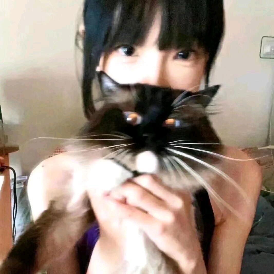 小猫花花