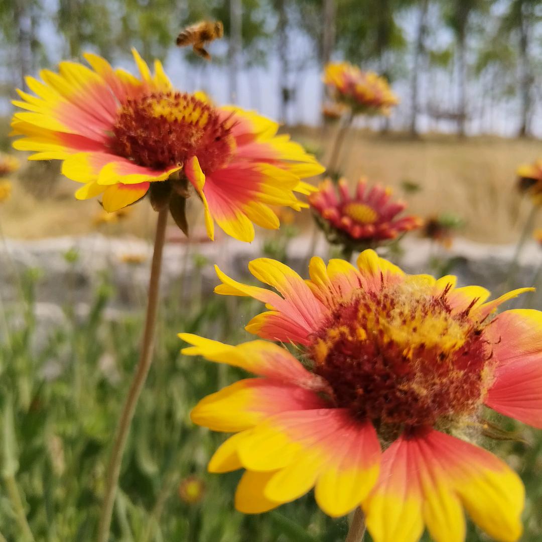 💞赵℘࿐ᩚ࿐ᩚ