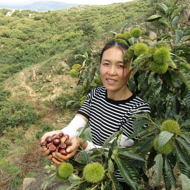 @丹丹吖