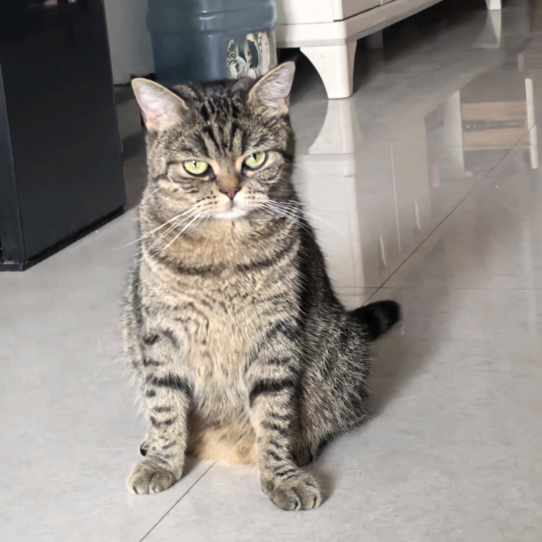 🌈易爆的快乐星球