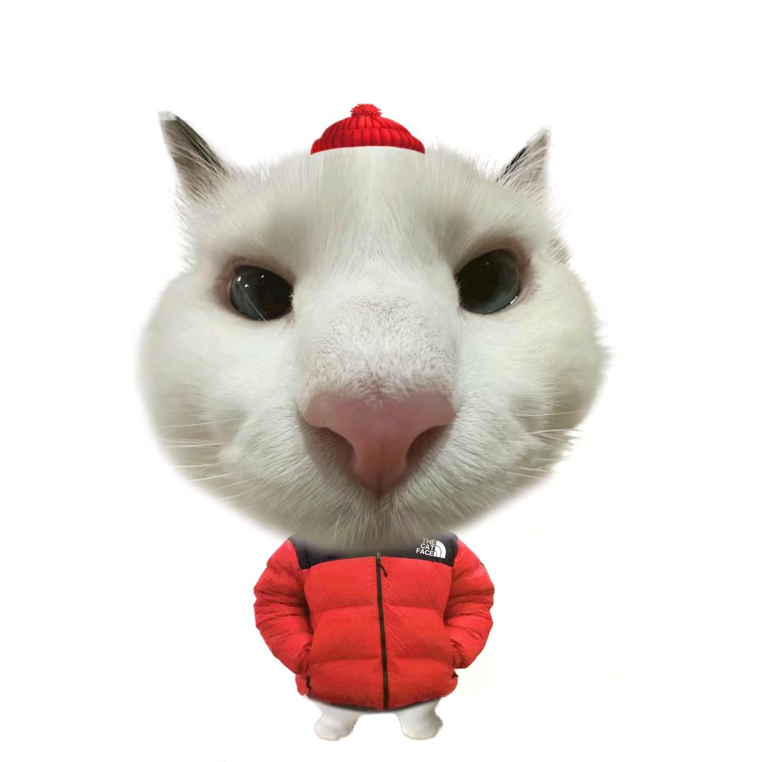 幡动亦或心动