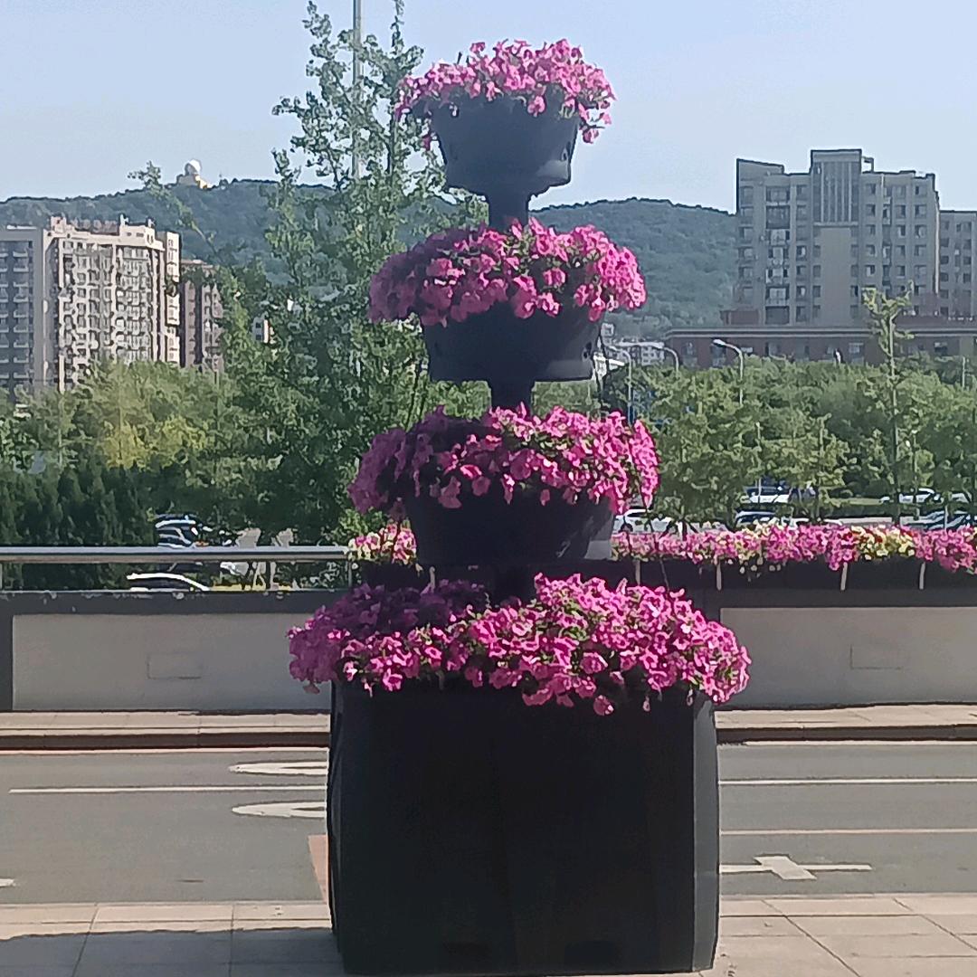 滕志乾