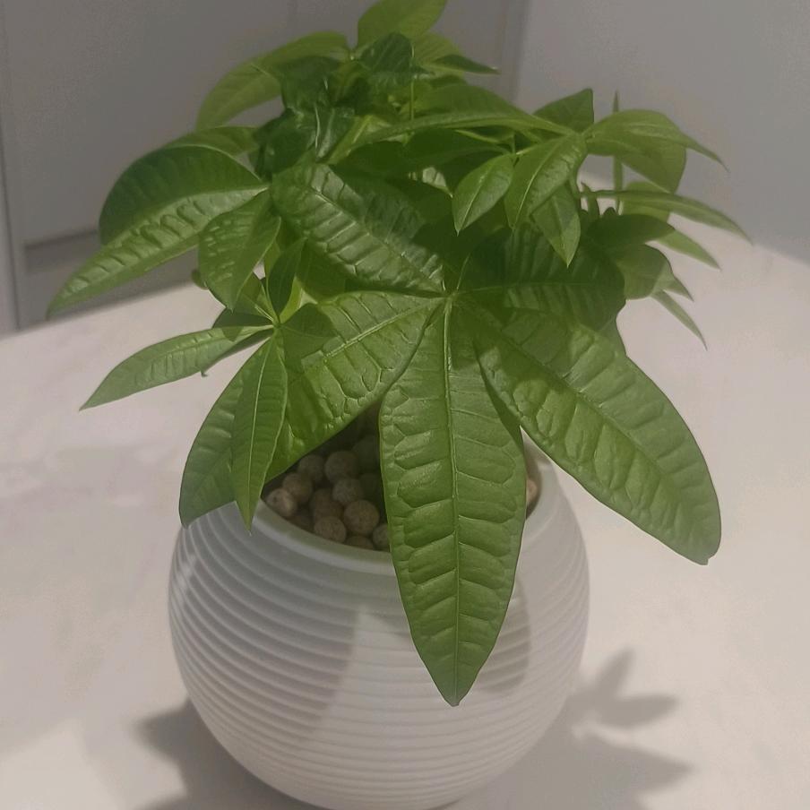 所有的幸运      都在路上