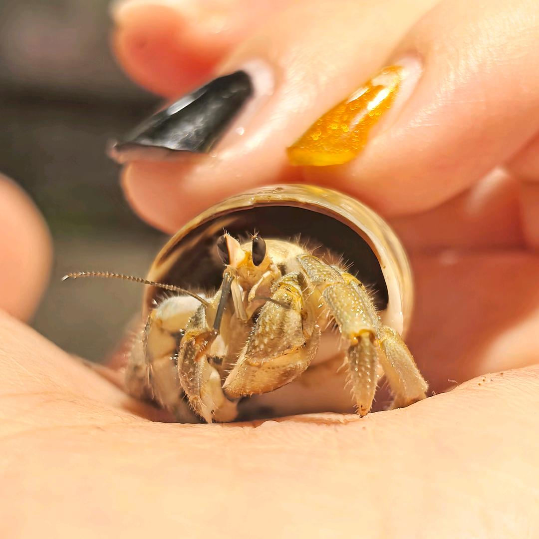 择木而栖 宠物生活服务