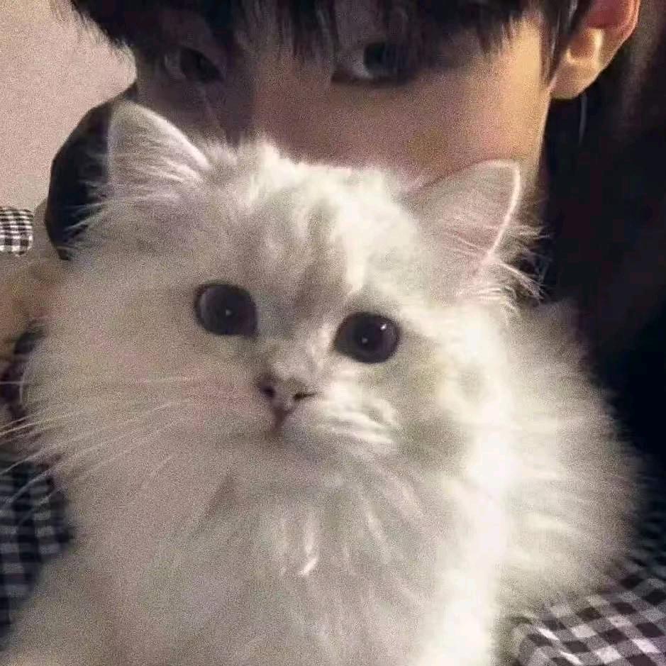 不重逢yu（南京上大屏剪入官摄版）