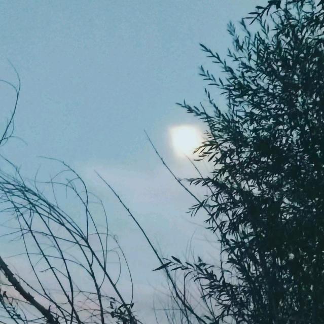普嘎力