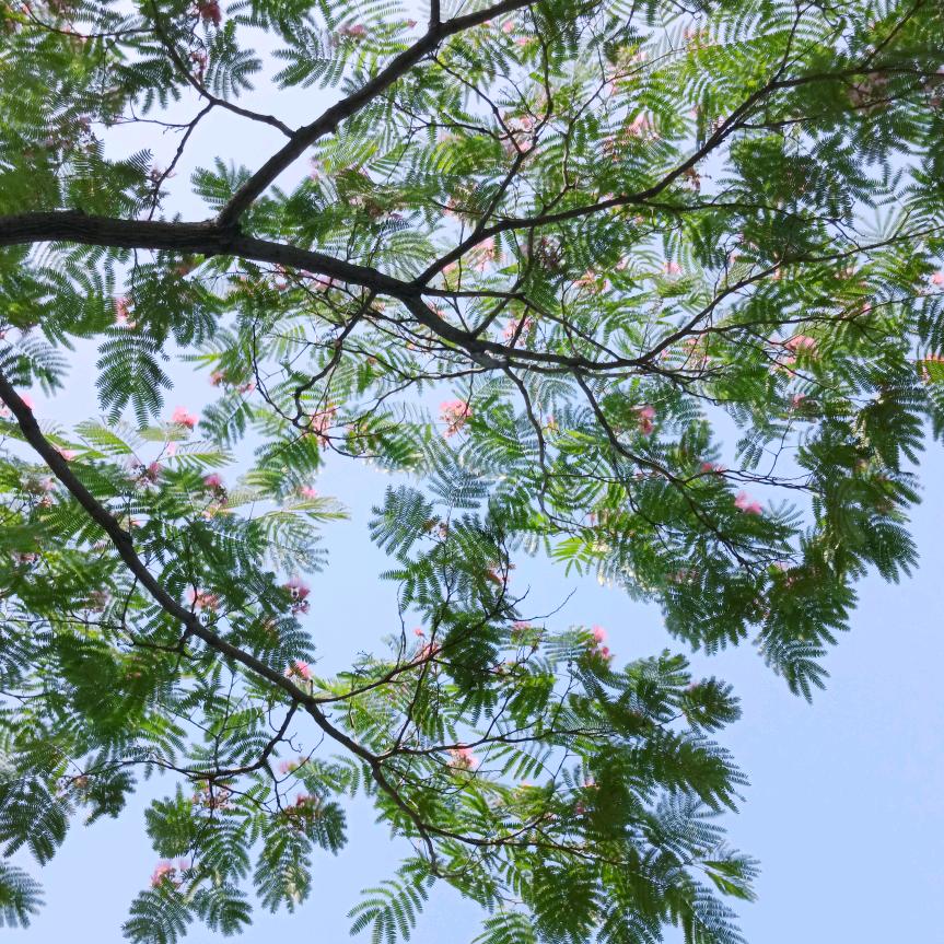 玉小姐ヾ(❀╹◡╹)ﾉﾞ❀~