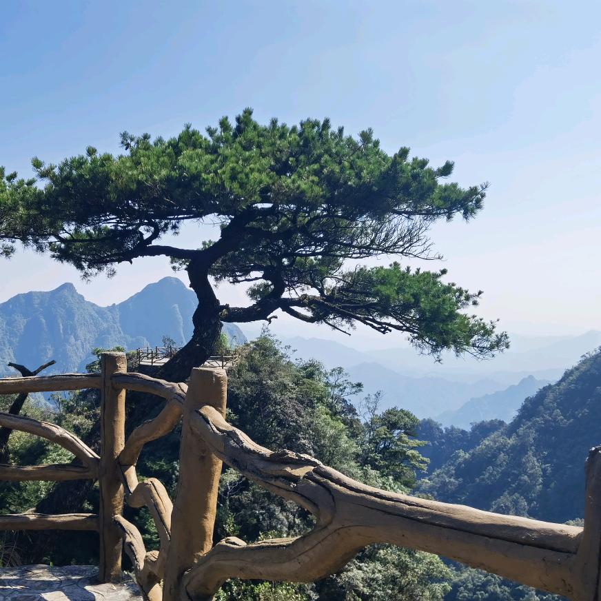 红枣🍀