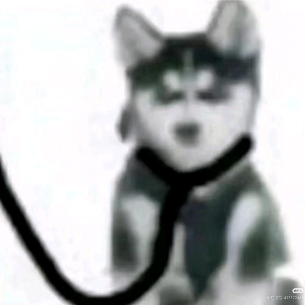 小韩不会跑400