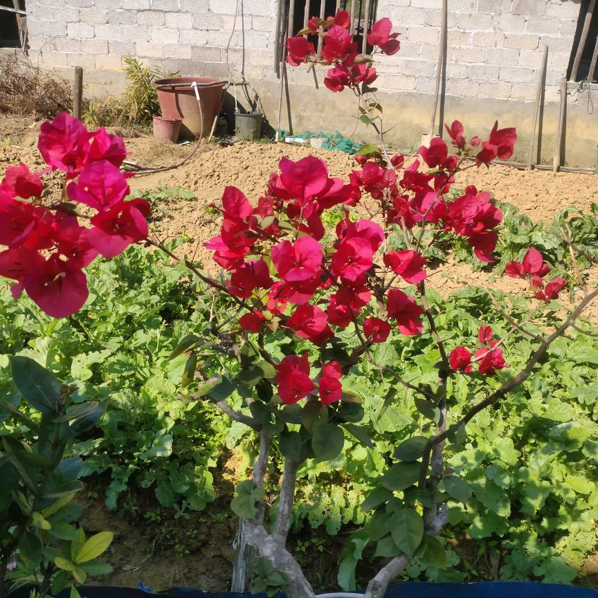 3:/##pMpvE0KI8s8## @