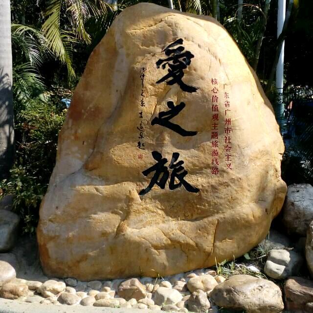 飞飞