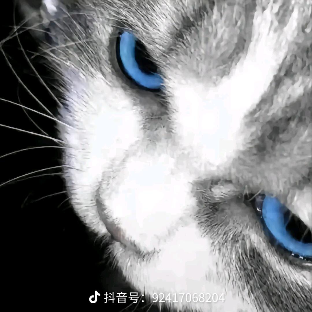 如果要喜欢他就别喜欢我