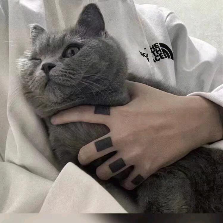 十一