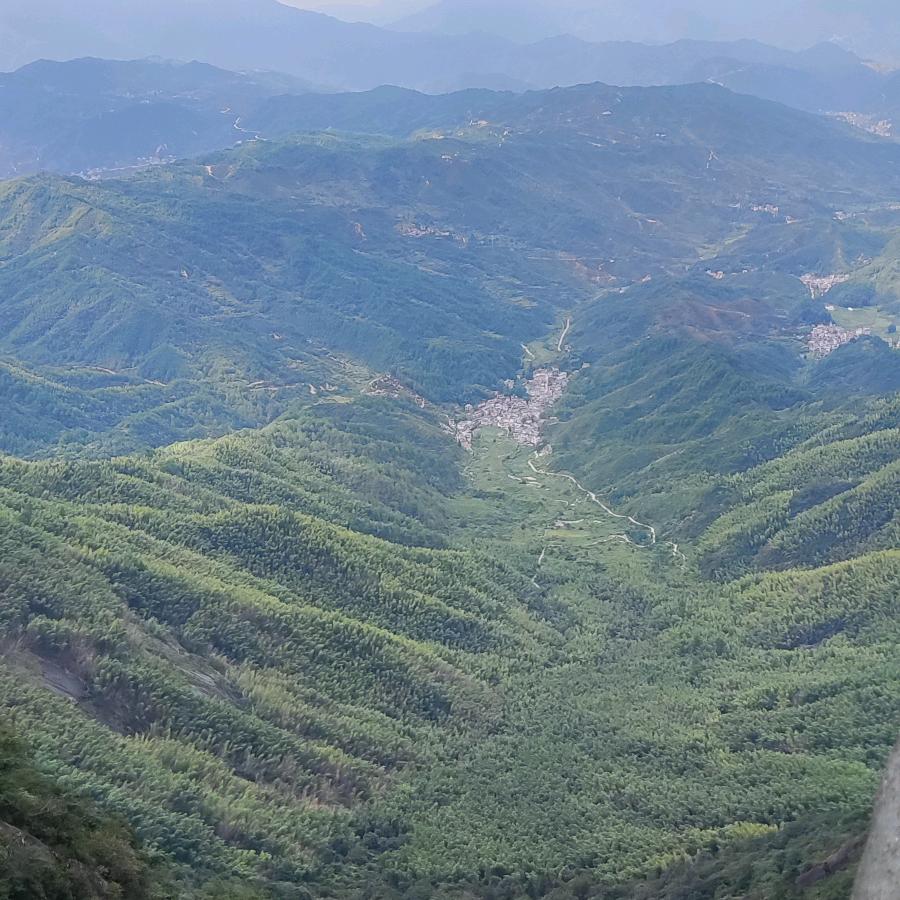 奔跑羊