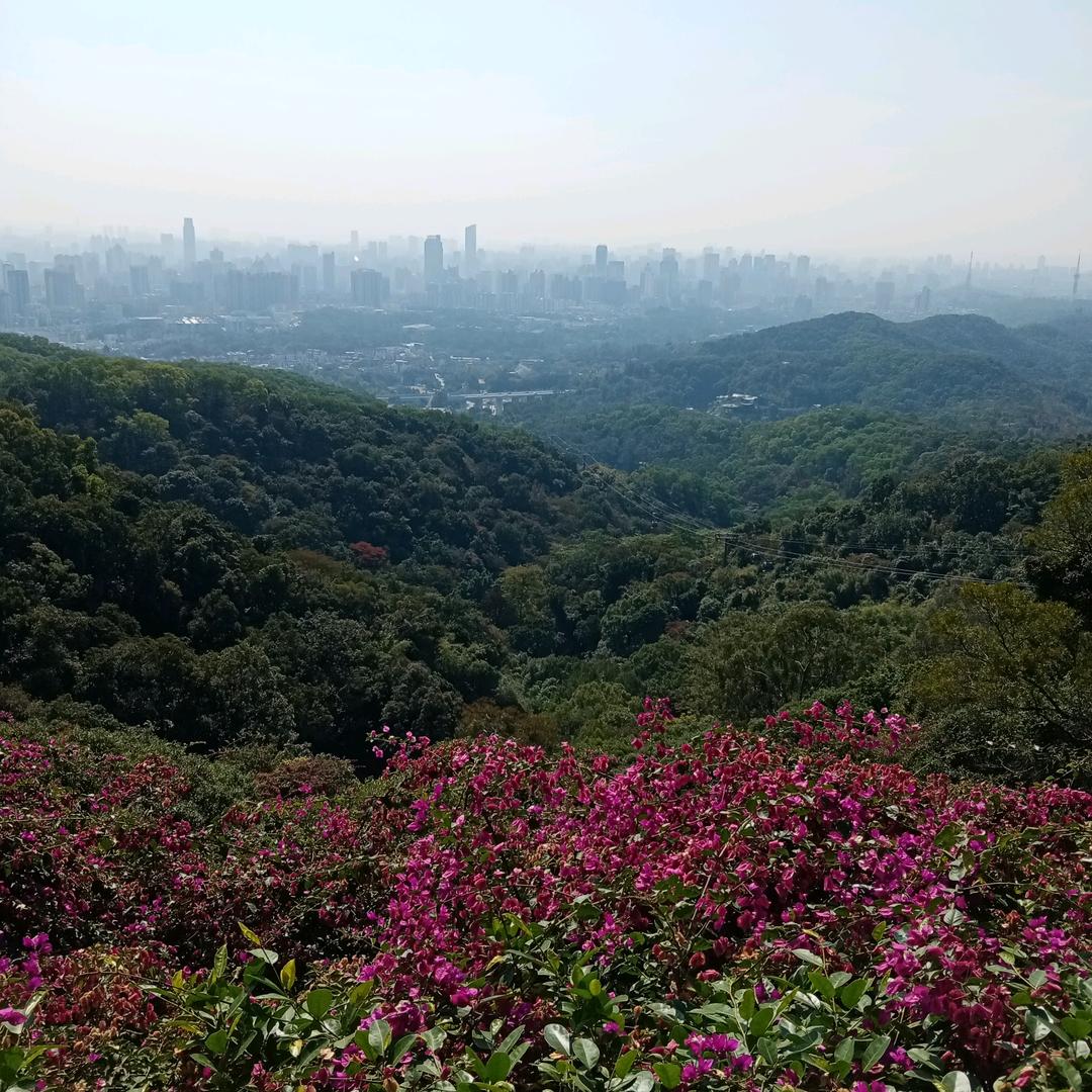 @奋发(≧∇≦)图强