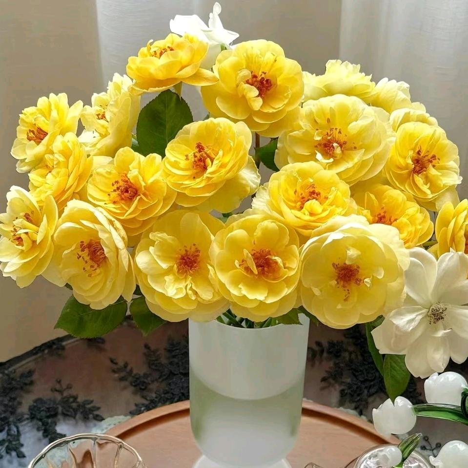 %深情不及久伴%