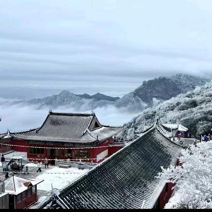 极夜行