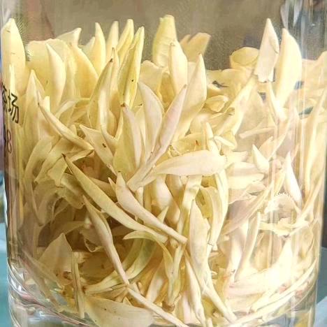 幸福之家李成云茶苗批发零售