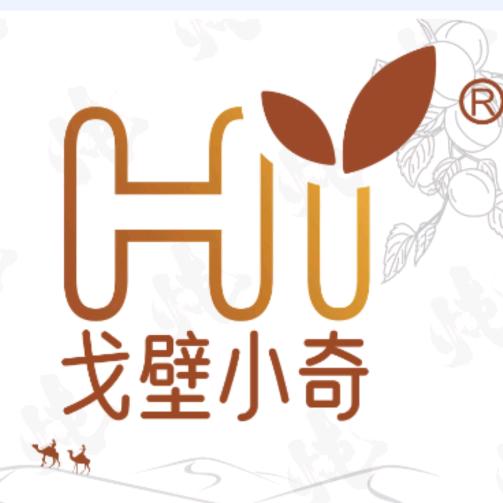 戈壁小奇