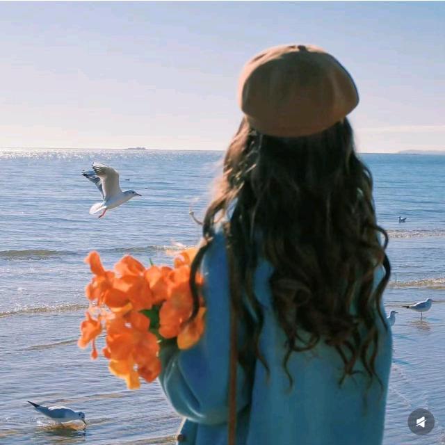 黄焖西与牛奶东