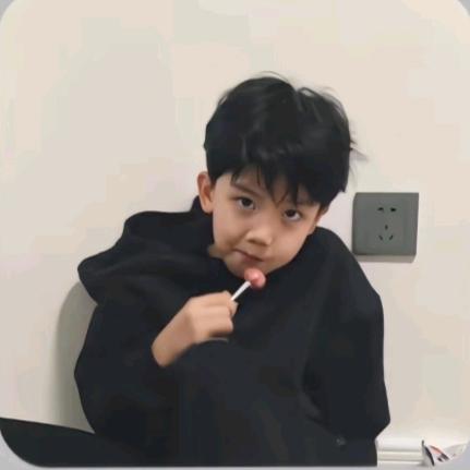 思念一只泰迪
