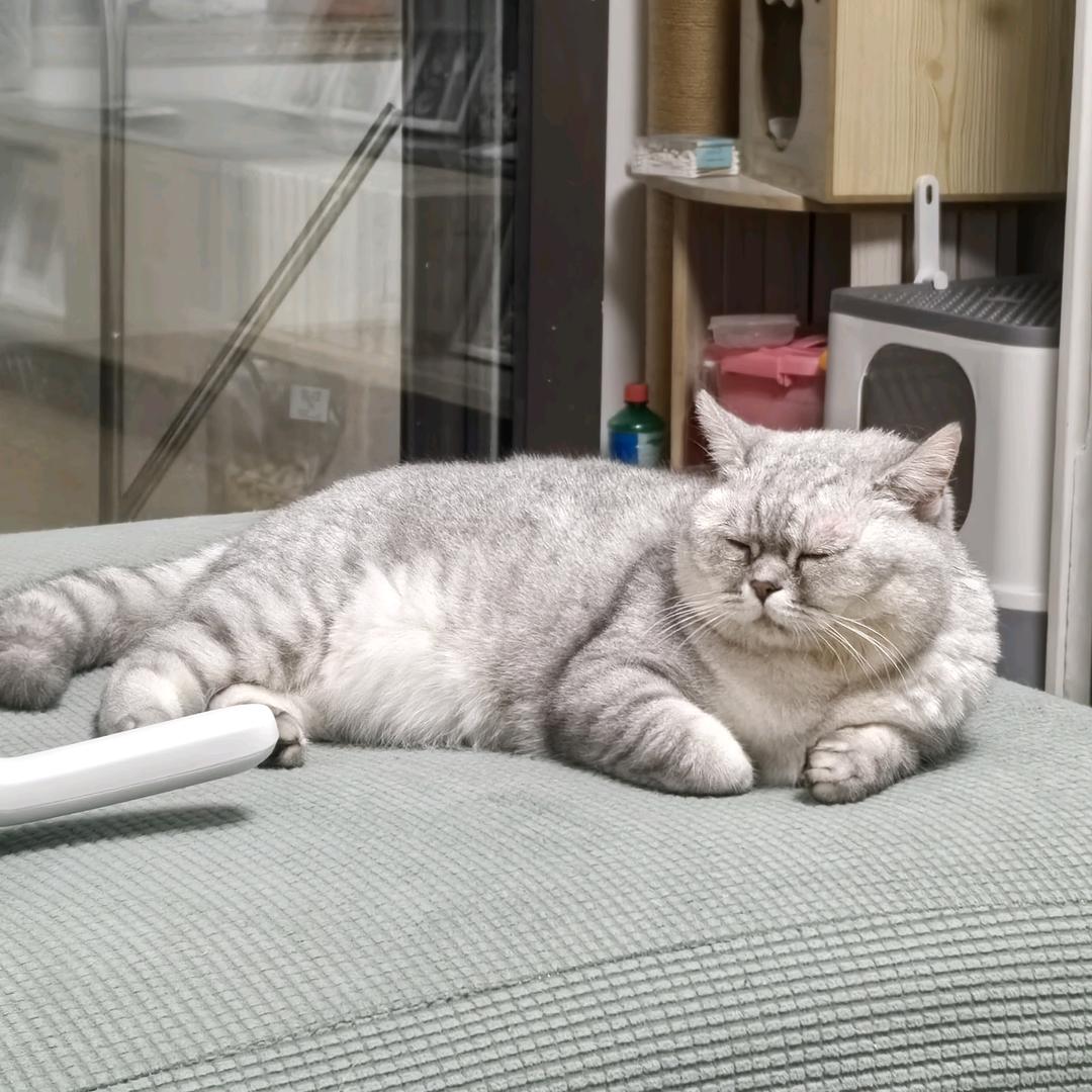 青风徐徐徐