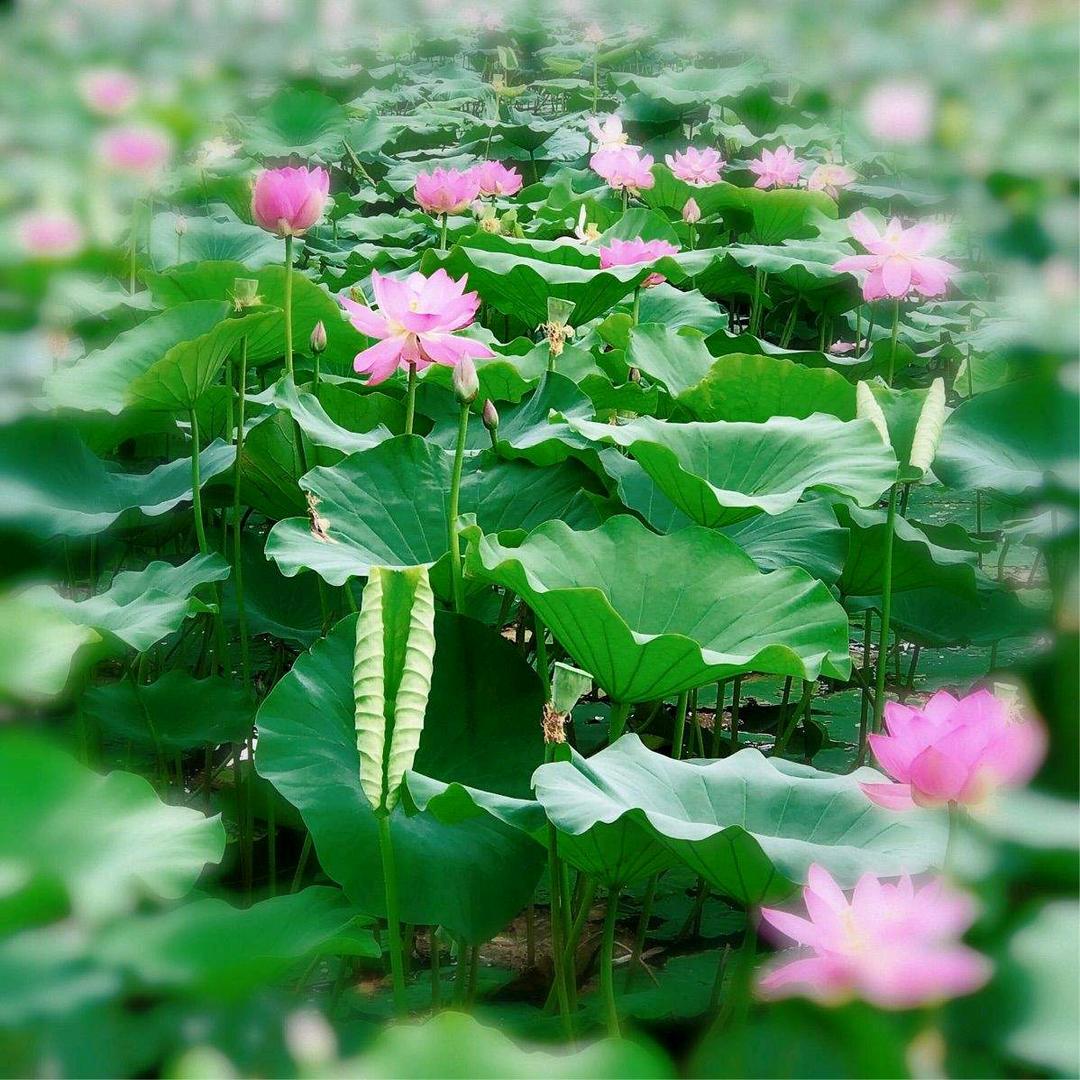 刘老师睡眠课堂