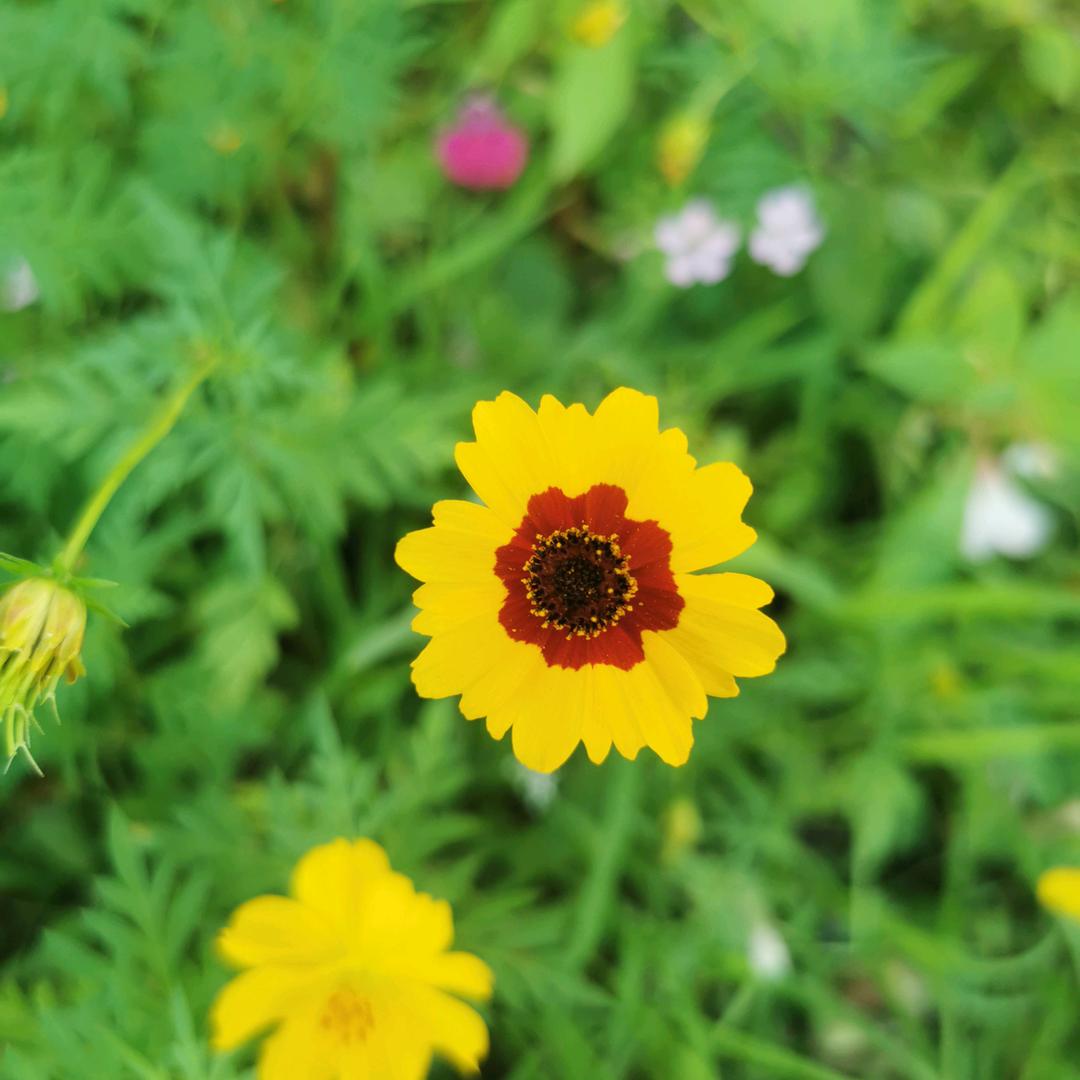 一切发生皆利我