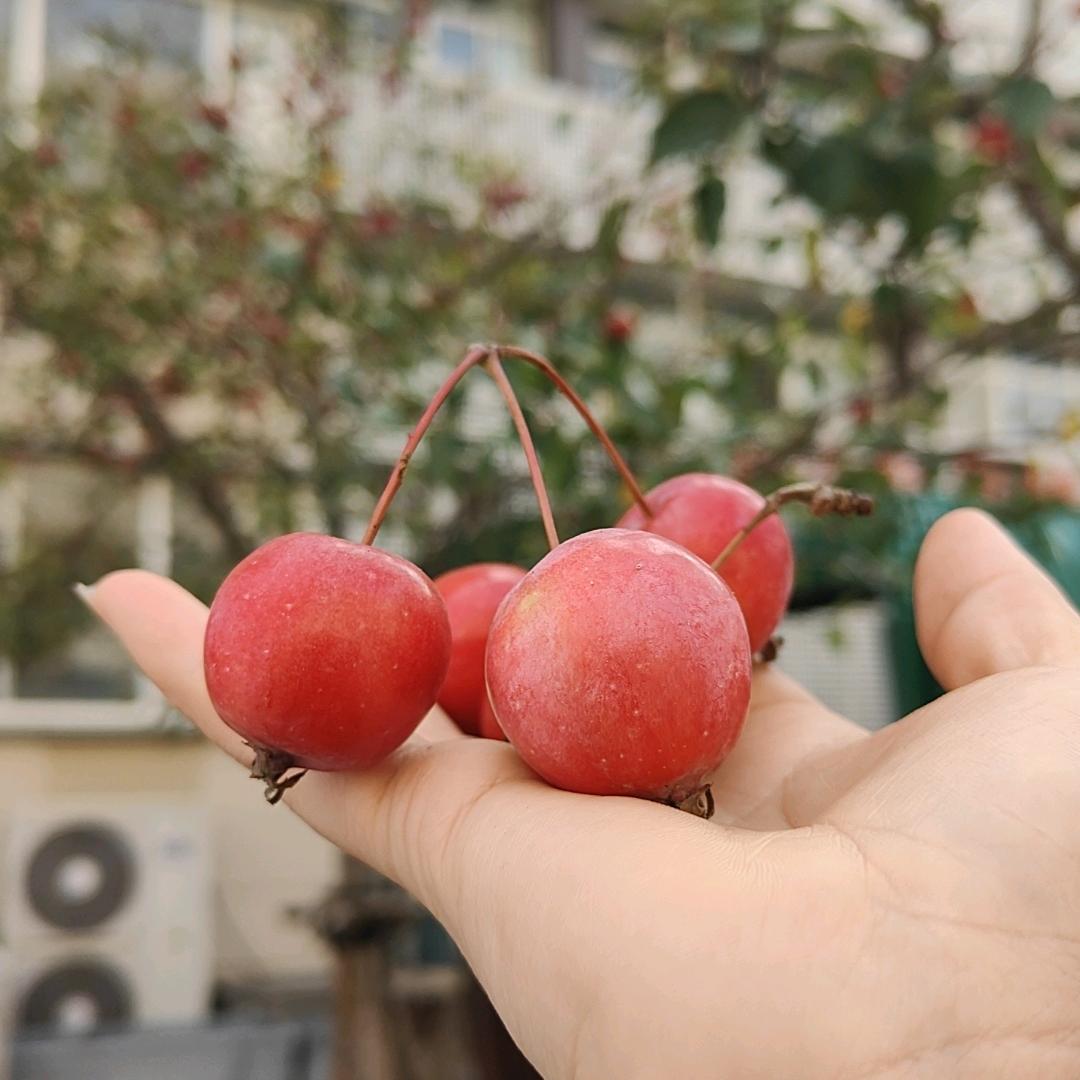 每天可爱