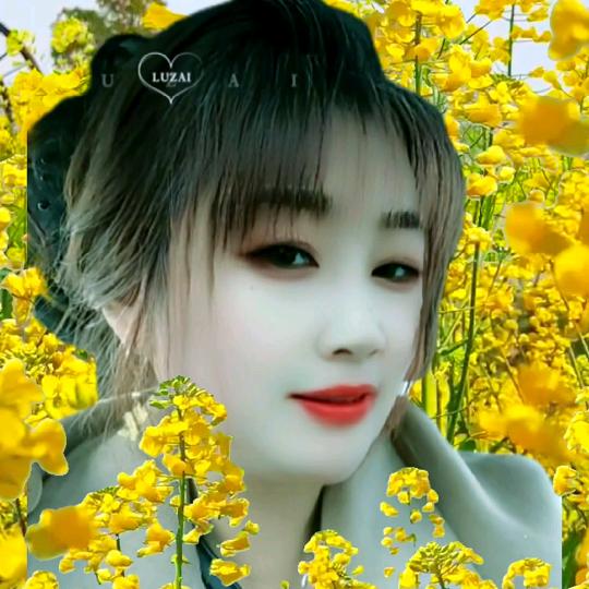 汪丽