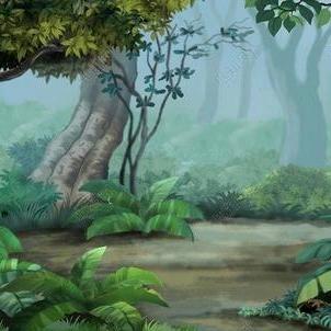 大杨哥~增长方案