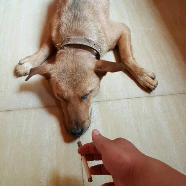 忕 佪
