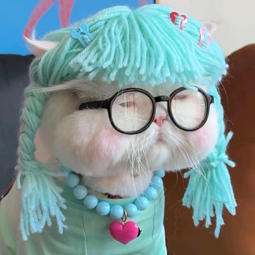 糕冷小莓( ˘ ³˘)